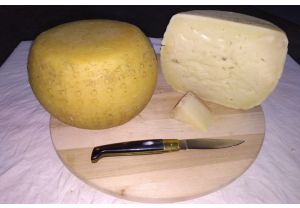 formaggio pecorino azienda agricola mura