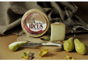 formaggio-caprino-ircus