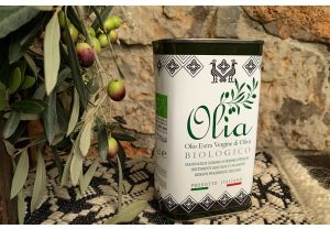 Olio extravergine d’oliva BIO – latta da 500 cl