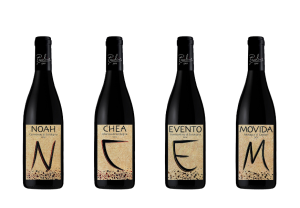 Wine selection - 4 bottles