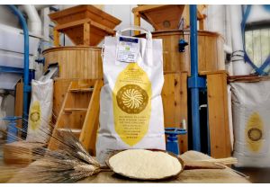 Organic Cappelli durum wheat semolina